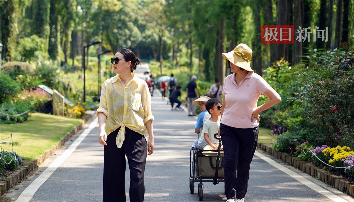 电子游艺网